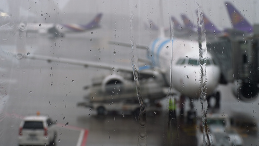 机场热带雨雨视频