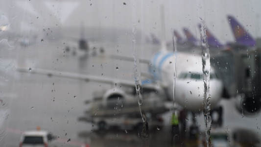 机场热带雨雨视频