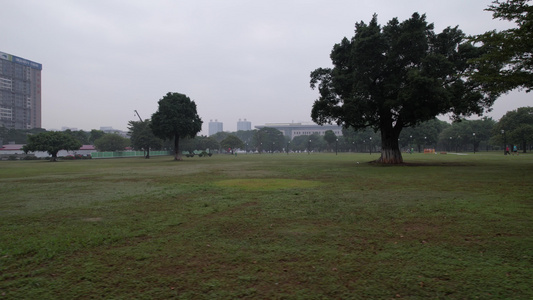 清晨的城市公园视频