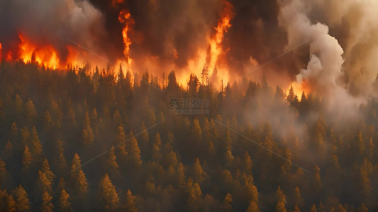 森林火灾大火烧山森林大火自然灾害视频