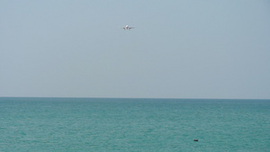 飞机从海洋上空准备着陆31秒视频