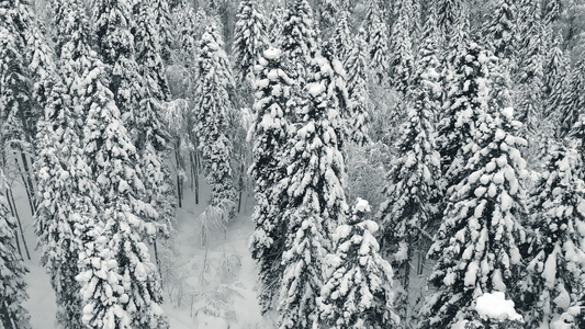 山林中的空中风景冬季风景视频