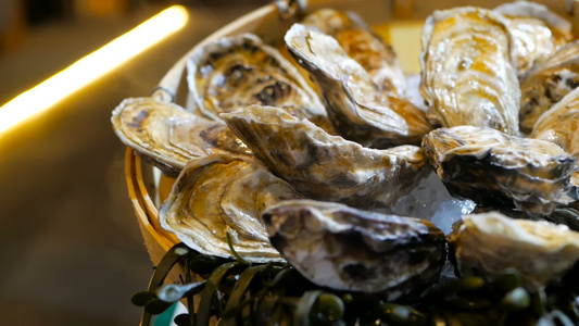 冰上新鲜牡蛎的永存在豪华餐厅的盘子上视频