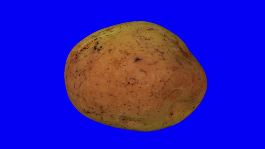 蓝底土豆在蓝色背景上旋转02a视频