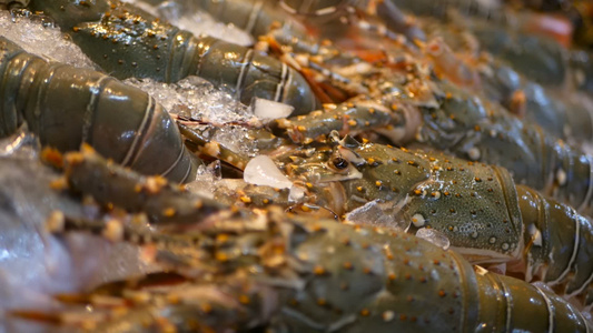 冰上的新鲜龙虾在亚斯脊椎龙虾里吃街上的食物视频
