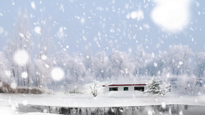 雪花飘落背景20秒视频