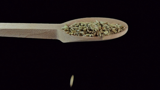 一勺芬内尔种子香味和食物成分慢动视频