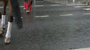 夏城雨后走在湿柏油路上的马腿夏季城市雨后行人脚穿过13秒视频