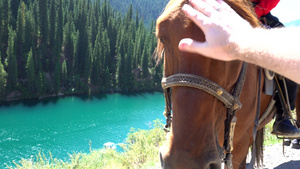 在山湖背景的马匹上8秒视频