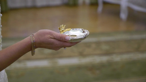 新娘和新郎在仪式上交换结婚戒指6秒视频