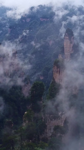 【旅游宣传片】湖南航拍张家界合集张家界景区视频