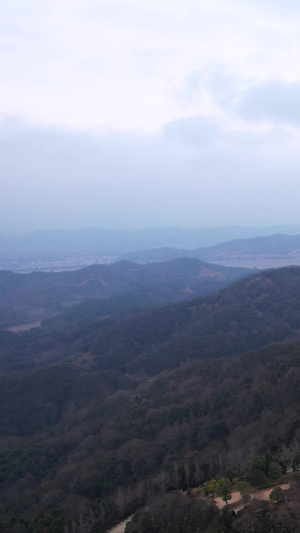 航拍江西庐山市星子镇地标建筑世界第一高东林大佛宗教文化象征素材江西素材63秒视频