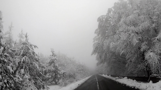 冬季山地公路低能见度穿过雾中视频