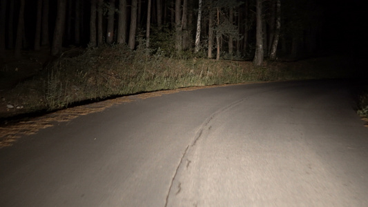 林地第一视角山上农村夜间公路上的驾驶车视频