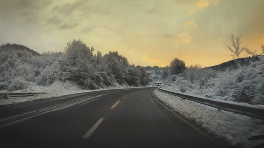 日出时冬季在农村公路上驾驶汽车穿过雪地松树林视频