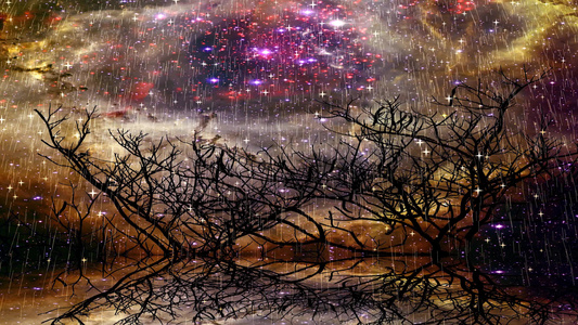 湖面水表面星云反射和干枯树的光影降下金子和神之小星星视频
