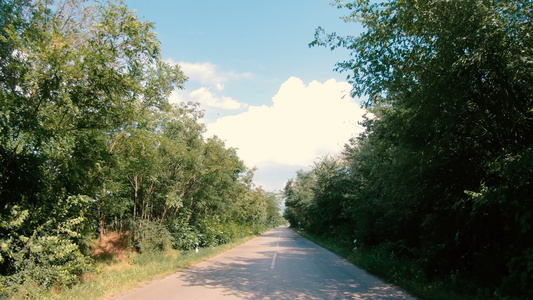 在两边都有树木的农村公路上行驶视频