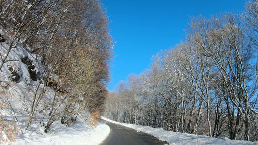 在高山路上行驶边上有雪覆盖的树木和蓝天视频