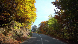 秋天开着大角度的山上绕行公路11秒视频