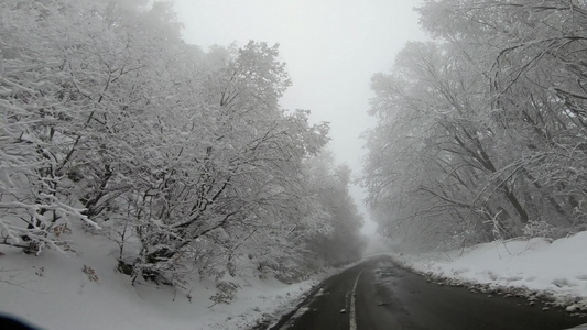 冬季雪路上的快速驾驶汽车小车厢风雾低可见度天气视频