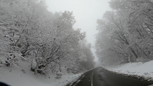 冬季雪路上的快速驾驶汽车小车厢风雾低可见度天气18秒视频