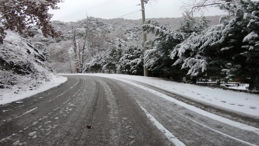 驾驶在寒冷的长河和冷冻沥青上的雪林道路上行驶视频