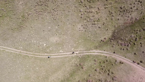 一群骑自行车的骑手骑在绿色草原上7秒视频
