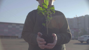 环保主题志愿者栽种树木18秒视频