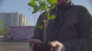 城市中年轻树林的绿色高级志愿者组织15秒视频