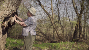 老婆婆在挠一棵大树21秒视频