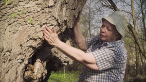 年长的老太婆在一棵大树上爬来爬去对着它说话24秒视频
