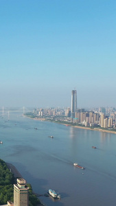 航拍城市风光武汉长江江景风景素材城市天际线视频
