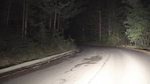 夜间在山上乡村公路上驾驶汽车以林林松树为目标30秒视频