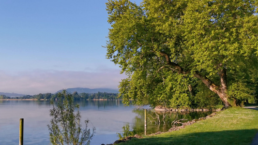 瑞士湖泊附近的绿色公园和蓝色湖泊瑜伽生活方式的完美视频