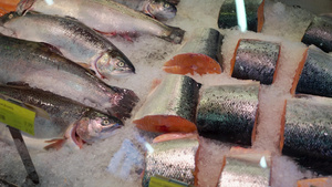 冷冻鱼鲜鱼市场在市场上出售鱼三文鱼在冰上新鲜的6秒视频