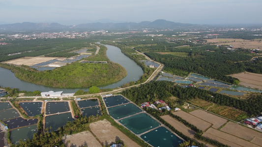 鱼河边的虾养殖场在空中观察视频