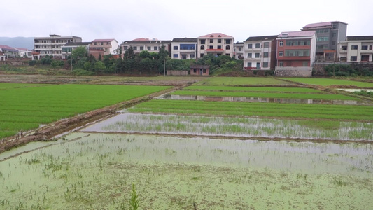 乡村田园自然风光[风景迷人]视频