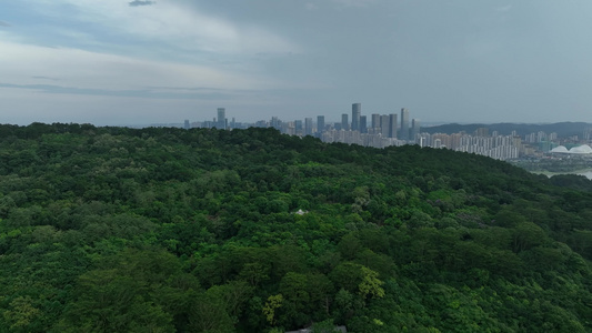 4k广西南宁大景飞越青秀山风景区视频