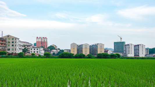 乡村田园自然风光[风景迷人]视频