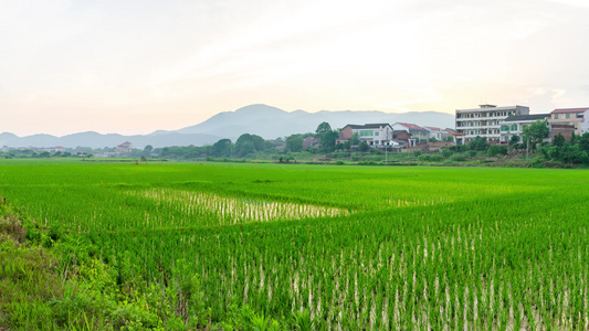 乡村田园自然风光[风景迷人]视频