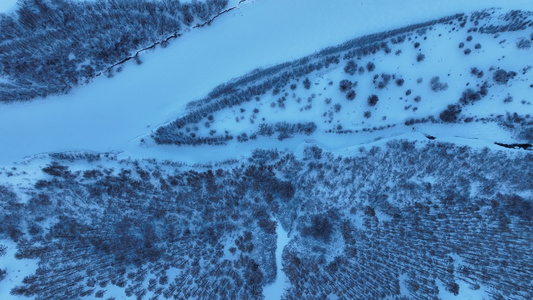 森林俯拍雪地松树林光影视频