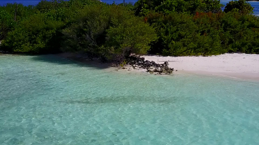 白沙背景蓝海的美丽海岸海滩野生生物的无人驾驶飞机场景视频