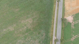 在北德州一条孤独的乡村公路上24秒视频