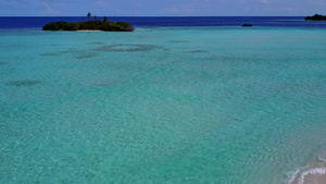 天然的豪华环礁湖海滩野生生物海平面蓝海和浅沙背景9秒视频