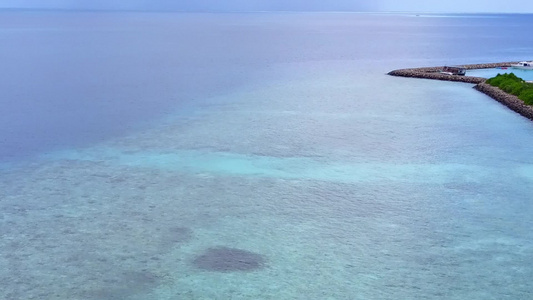 热带海岸海滩野生生物在蓝海和白沙背景的蓝海空中飞行视频