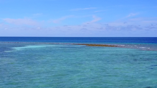 蓝海白沙背景海洋海景海滩野生动物空中无人机海景视频