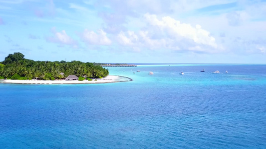 以蓝海和白色沙滩背景看到海滩野生生物的空中无人驾驶视频