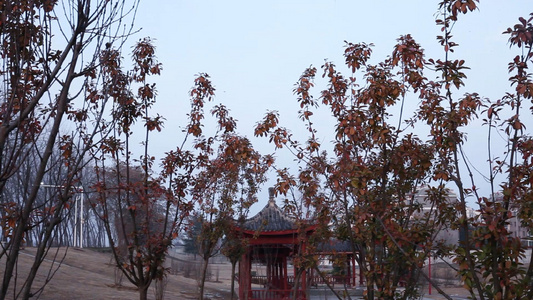 冬天的凉亭 红色树叶的树木20视频