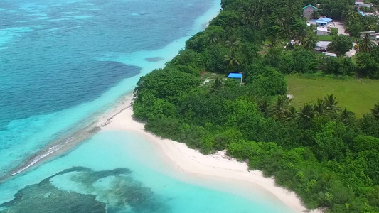 浅海白沙背景下完美海滨海滩野生动物的无人机旅游视频