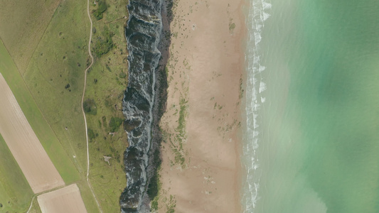 绿海和绿草地4k视频